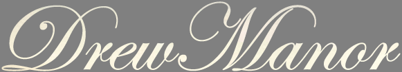DM-Logo-silver2.png